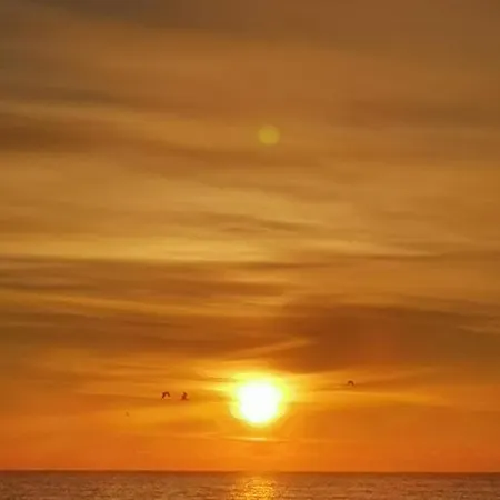 Amphora - Mamaia Nord Năvodari